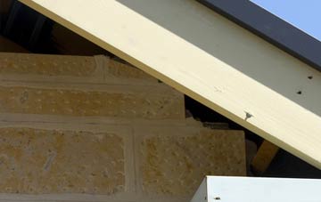 soffit repair Careston